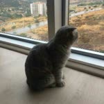 Beyza