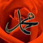 Bahar