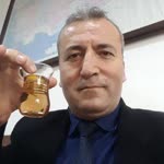 Şahin
