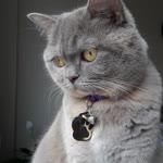 Zeynep