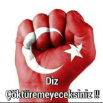 Sedat