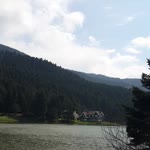 Zehra