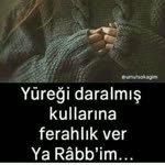 Gökçe