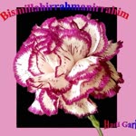 Bekir