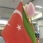 Ertekin