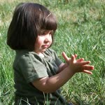 İlhan
