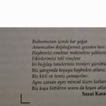 Ayşegül