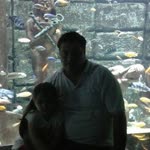 Halil