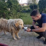Erhan