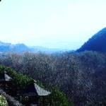 Duygu