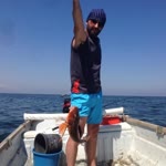 İlhan