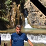 Şahin