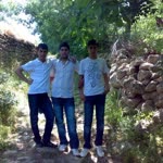 Harun
