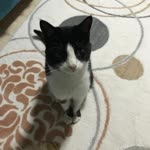 Abdullah