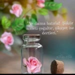 Müzeyyen