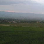 Gülşah