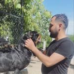 Erhan