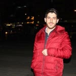 Doğan
