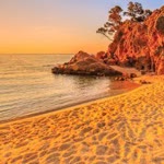 Deniz
