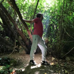 Alican
