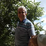 İlhami