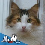 Aslı