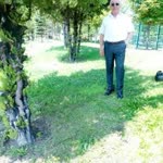 Güven