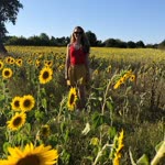 Melis