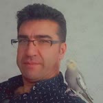 Polatcan