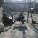 Elif