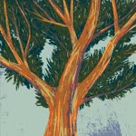 Fadime