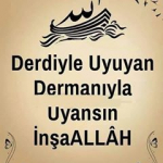 Bahar
