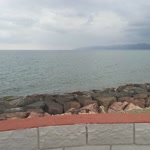 Sanatci