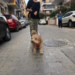 Çiğdem