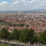 Ayşenur