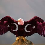 Savaş
