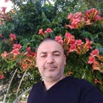 Koray