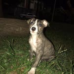 Alejandro