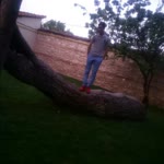 Yasar