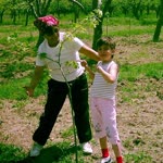 Feride