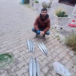 Yunus