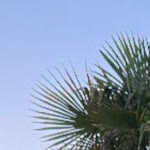 Eylül
