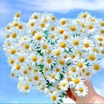 Tc Hatice
