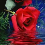 Muhammed