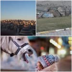 Şeyma