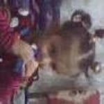 Hayri