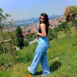 Buse