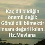 Sedat