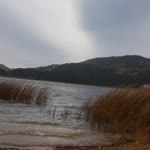 Kadriye
