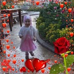 Tolga